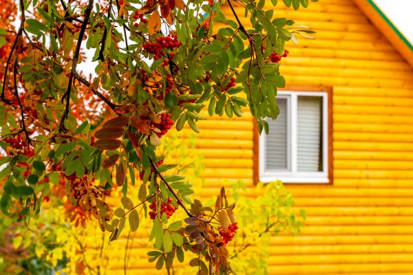 Garden Window Replacement in Springfield